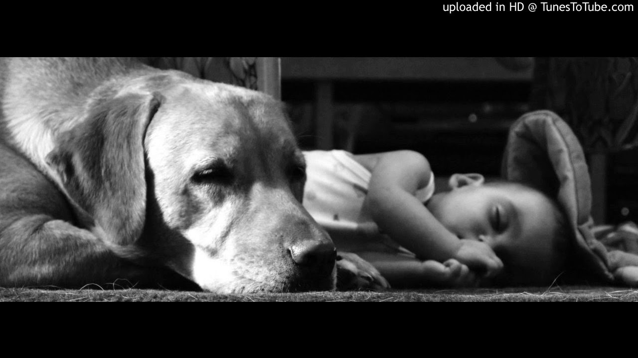 Ponnum Thinkal Pottum Maane - Cover Version