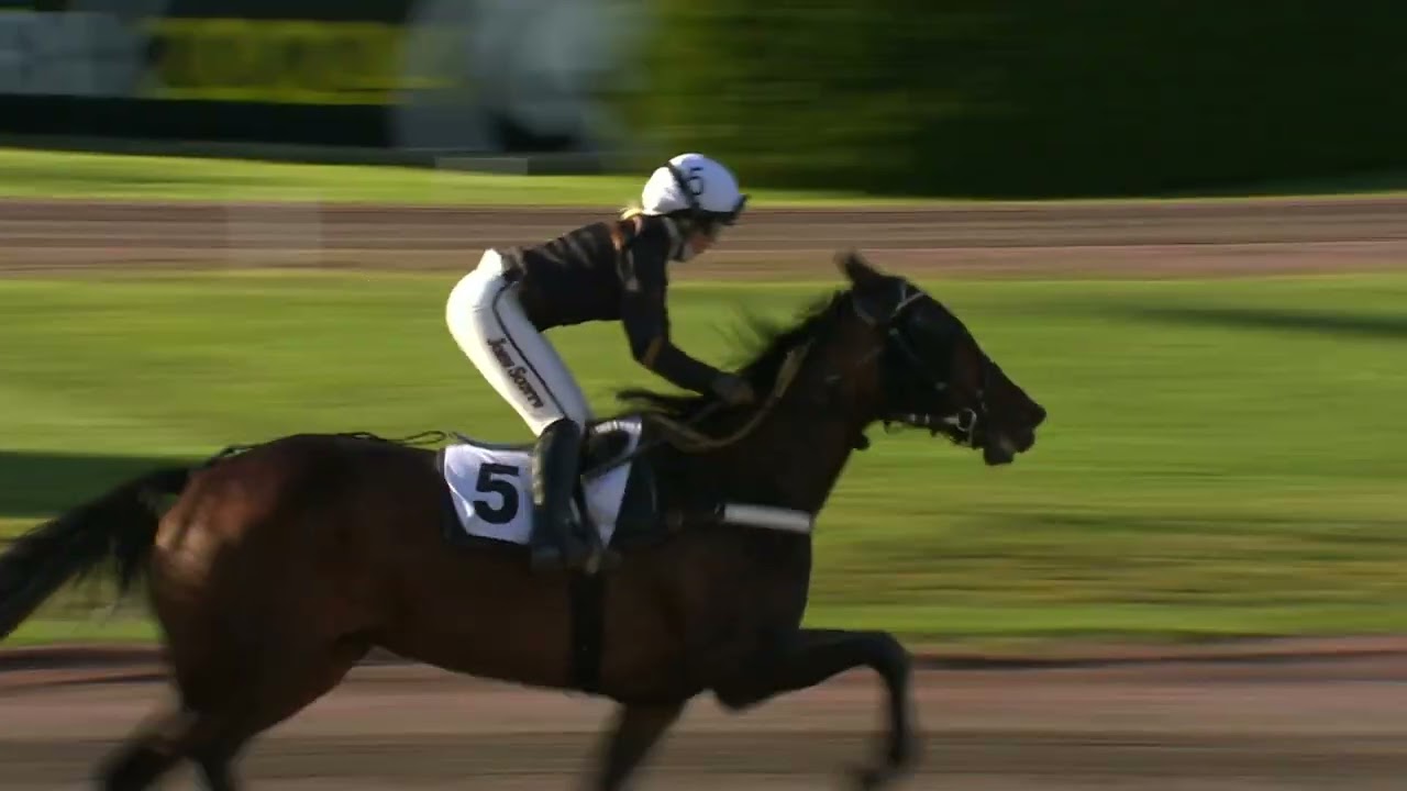 Åbytravet 240928 - Lopp 6 Monté-SM 2024