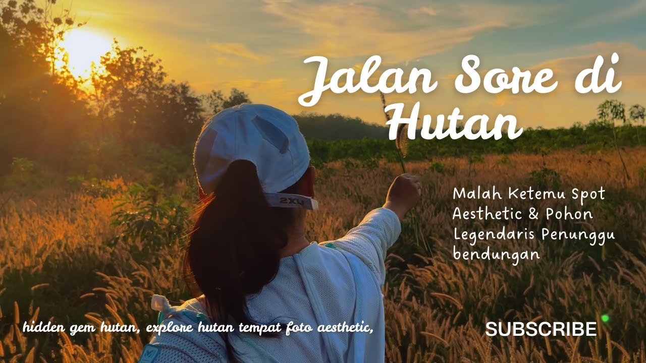 Jalan Sore di Hutan|| Malah Ketemu Spot Aesthetic & Pohon Legendaris Penunggu bendungan.