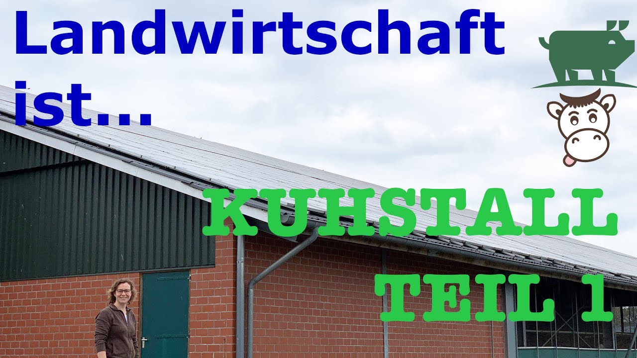 Landwirtschaft ist... KUHSTALL Teil 1