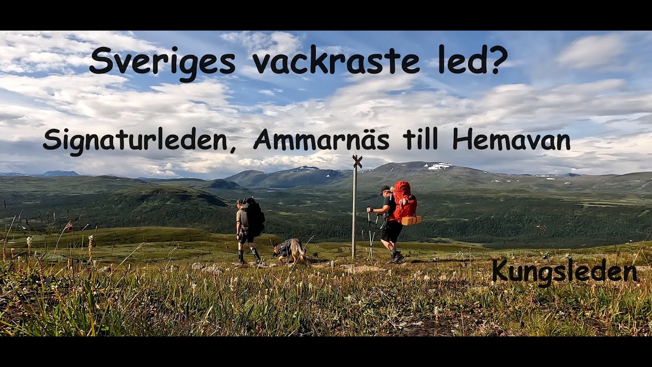 Kungsleden. Signaturleden, Ammarnäs till Hemavan