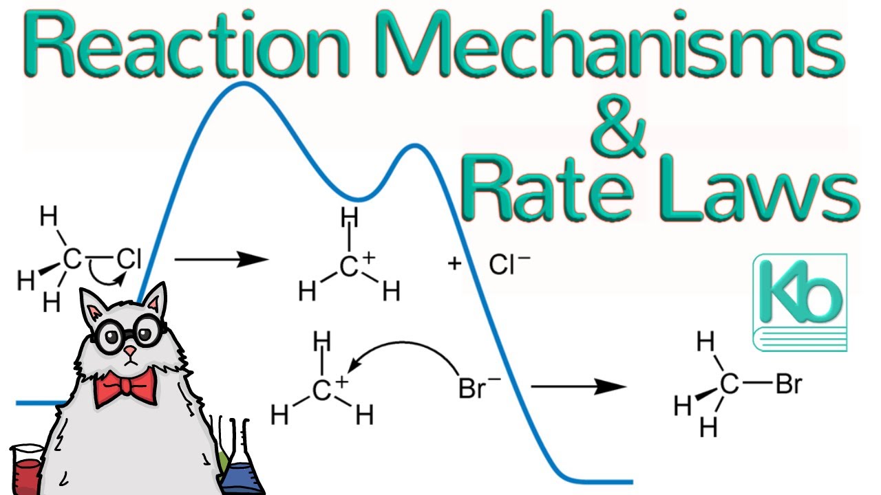 Reaction Mechanisms, Rate Laws, Reaction Profiles, and SN1 vs. SN2 Reactions