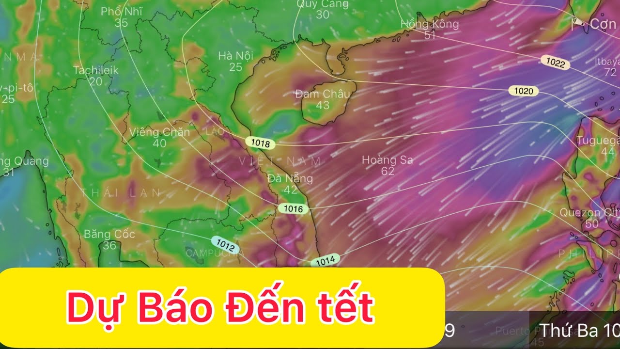 Dự báo thời tiết đến tết | Thời tiết tuần sau | Dự báo thời tiết hôm và ngày mai 3/2