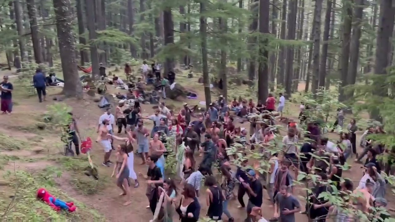Party in the woods - India #rave #party #india