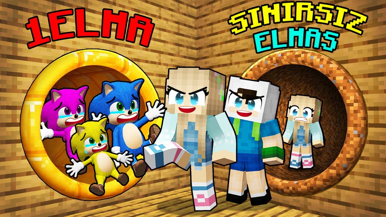 BEBEK SONİC AİLE VS BERCA AİLE KAPI SEÇME SAVAŞI! 😱 Minecraft