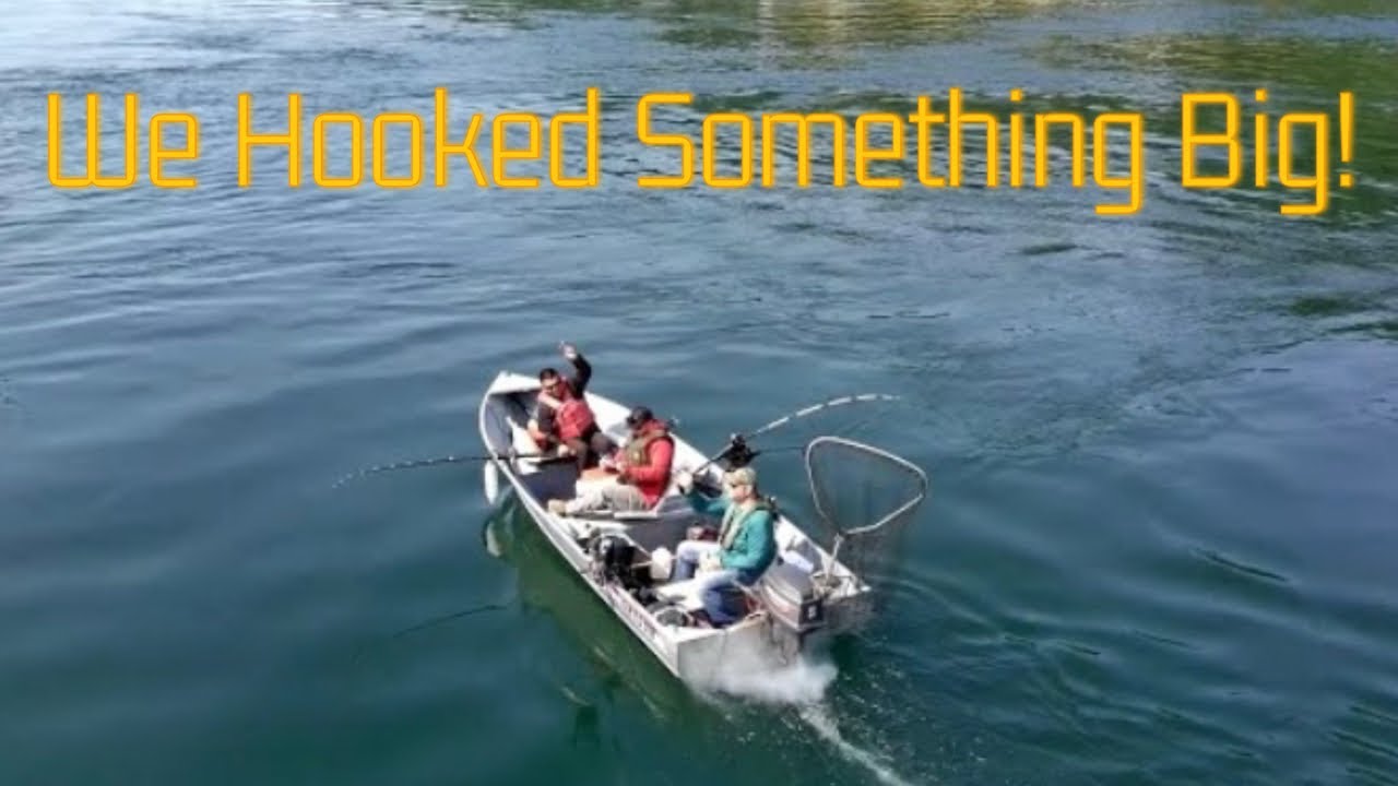 TROLLING AND JIGGING FOR SALMON IN THE PUGET SOUND AREA{ I Almost Got SPOOLED by Something Big}#fyp