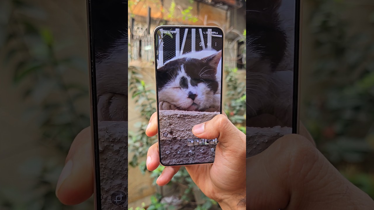 Samsung S24 Camera Test 🐈