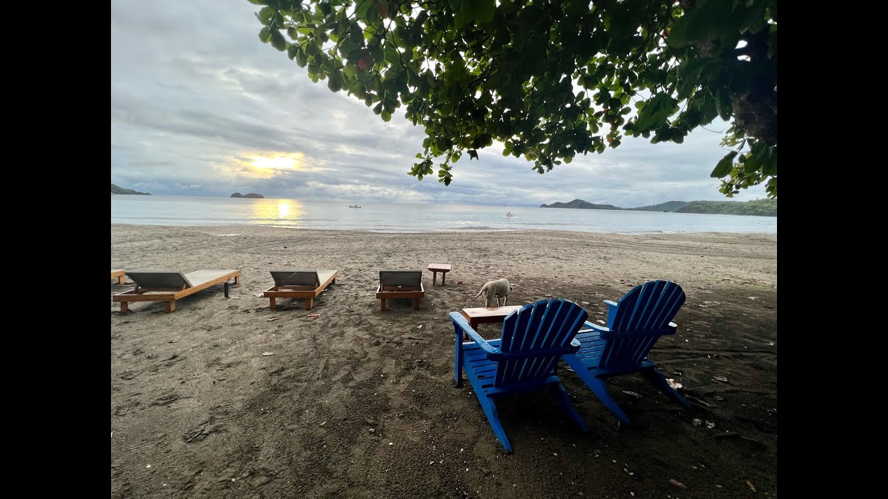 Beach with a side of Jungle