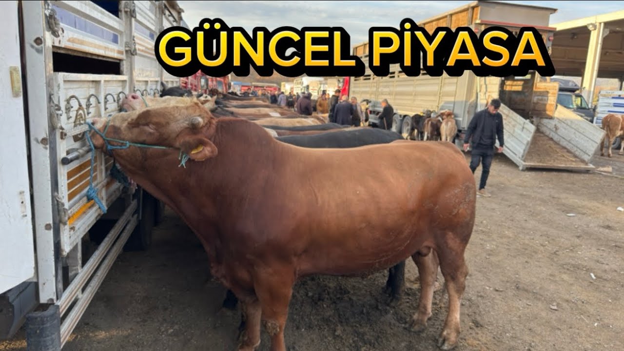 KIRIKKALE HAYVAN PAZARI 29 NİSAN /LİVESTOCK