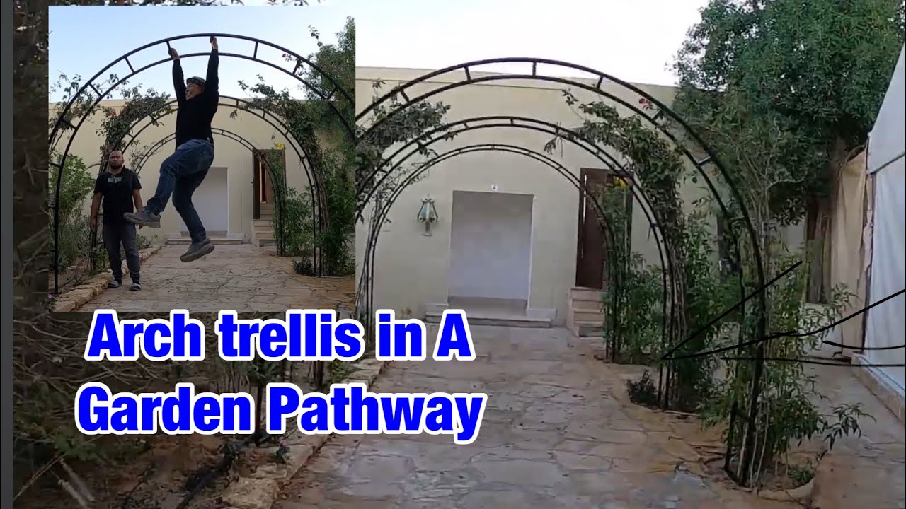 INSTALL ARCH TRELLIS IN THE GARDEN PATHWAY AND HOW STRONG IS IT?