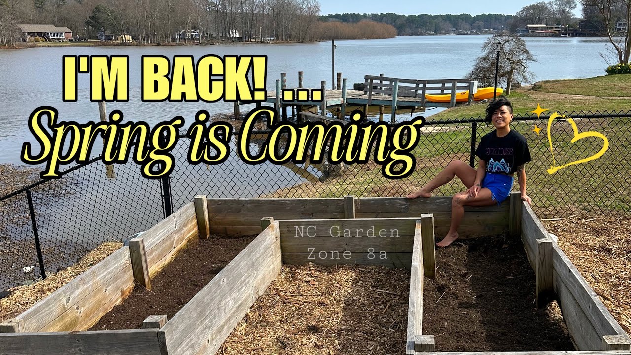 I’M BACK💛Spring is Coming!🪏🫜🌼