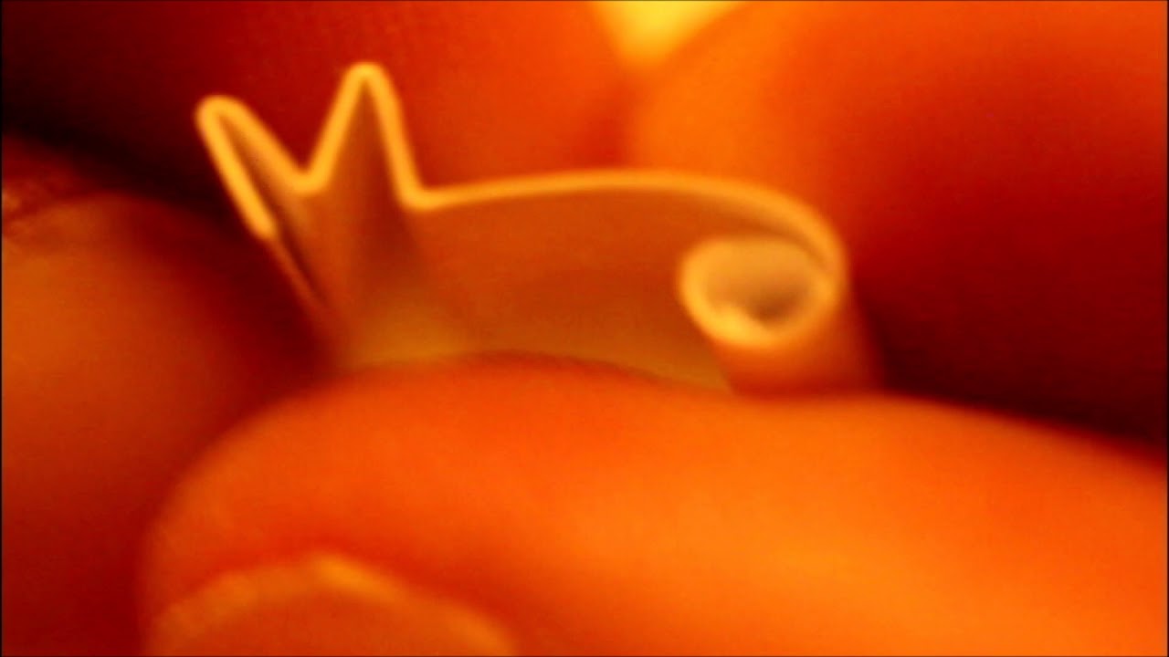 How to make the perfect M Filter Tip Roach