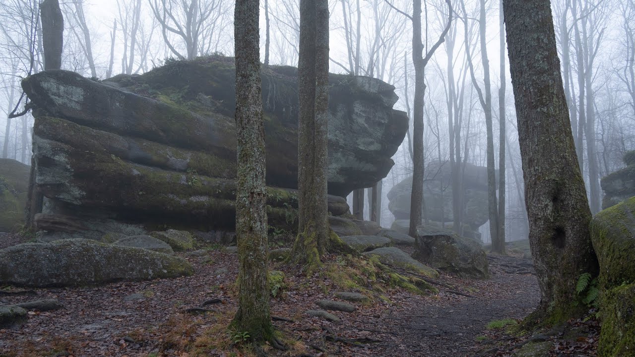 I Finally Experienced Fog at Thunder Rocks! | WNY Landscape Photography