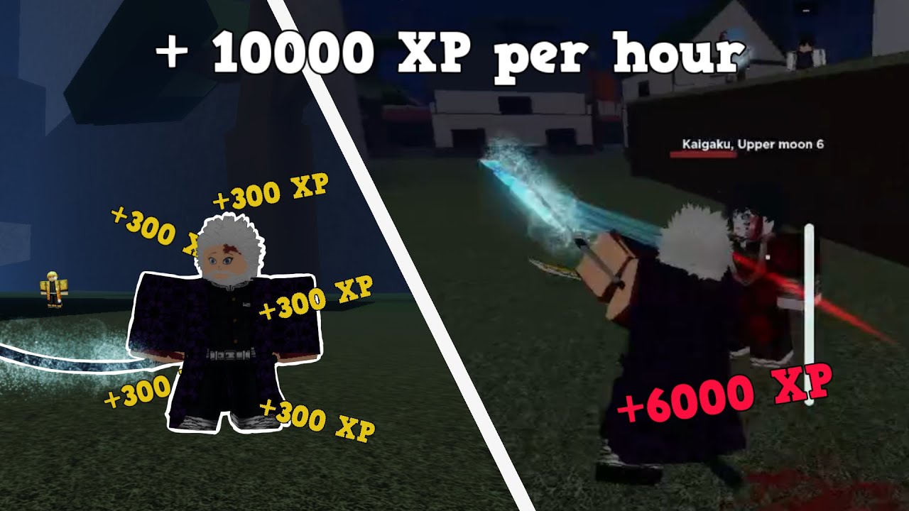 Best way to level up in Demonfall for BEGINNERS (around 10,000 or more xp per hour!) [Demonfall 2.9]