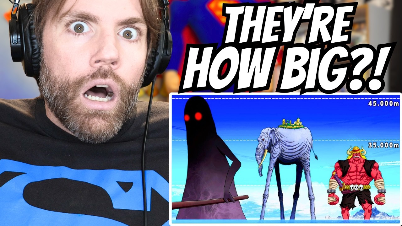 Superman Fan Reacts to Crazy One Piece Size Comparison | Ohara