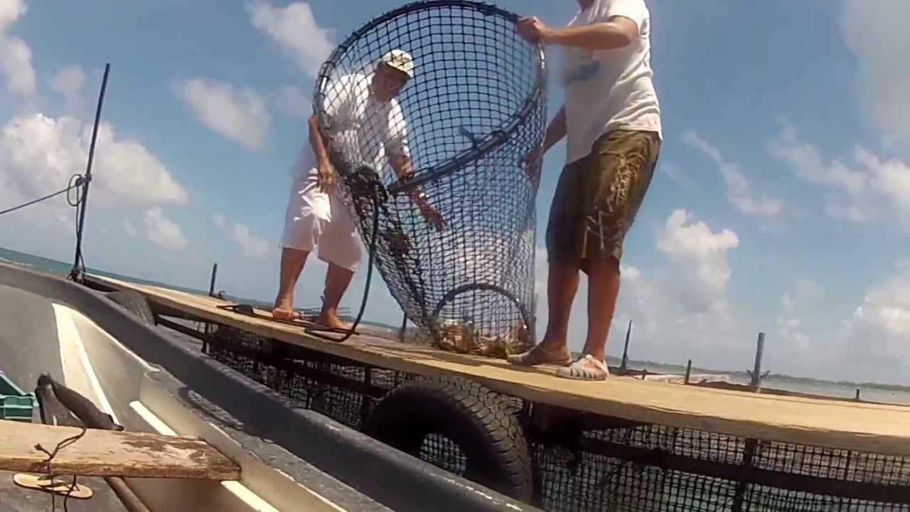Une journée de pêche aux Tuamotu