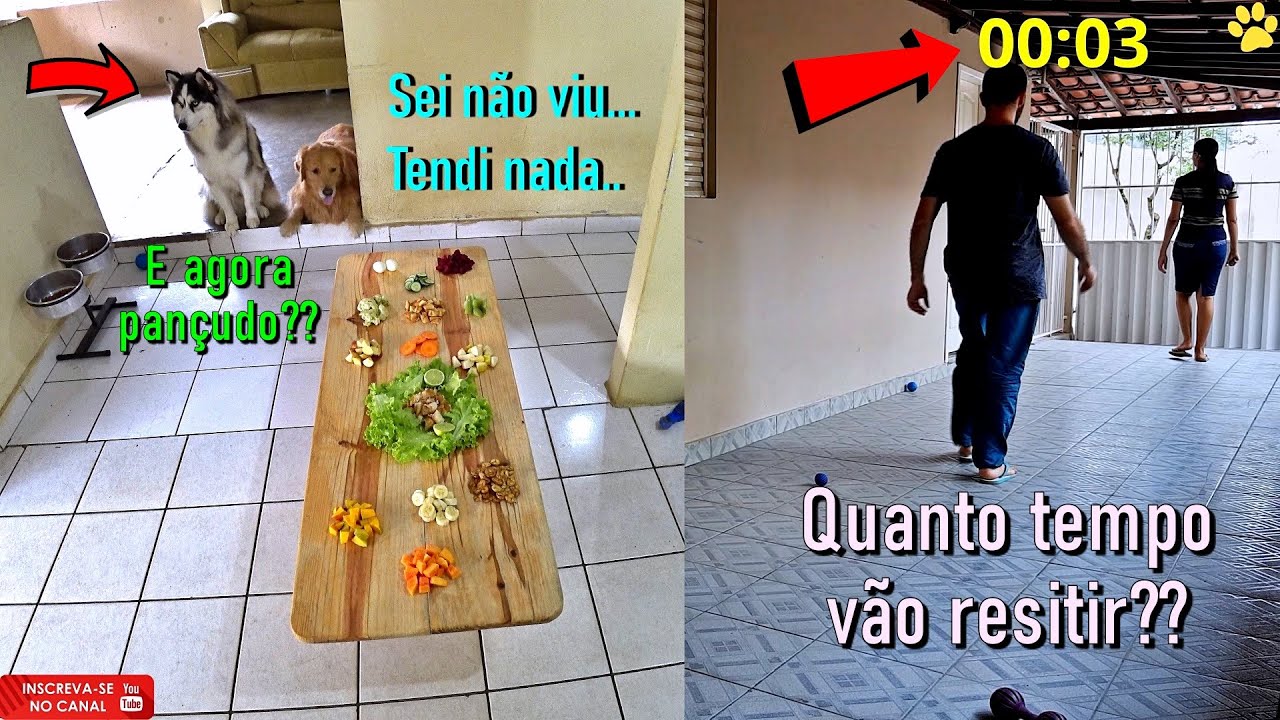 Enchi uma mesa de comida e saí de casa sem dizer nada