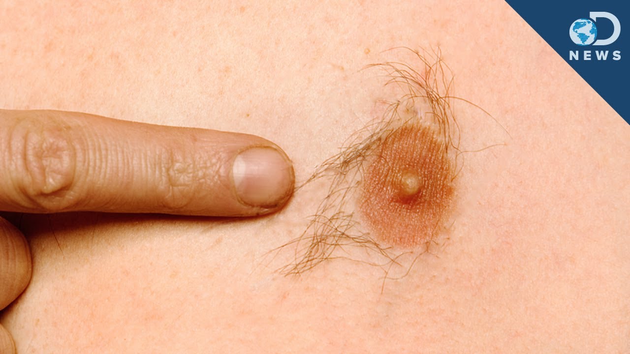 Why Do Men Have Nipples?