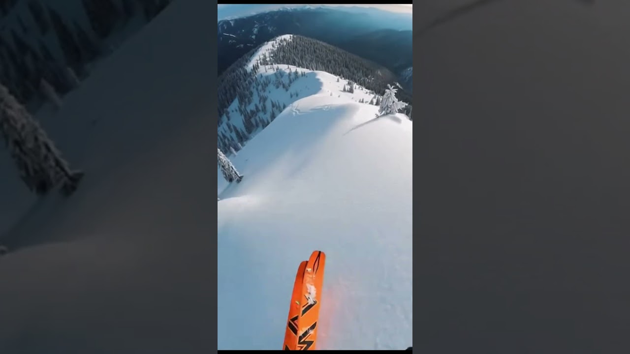No one expected this.😳#animals #nature #bear