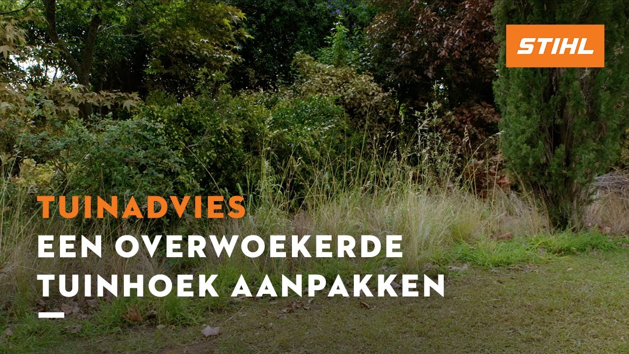 Een overwoekerde tuinhoek aanpakken - STIHL Tuinadvies