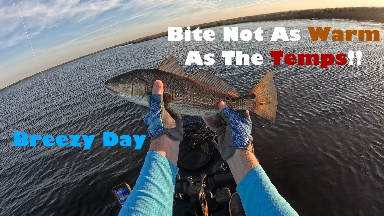 Warm and Breezy Kayak Fishing in the Florida Big Bend