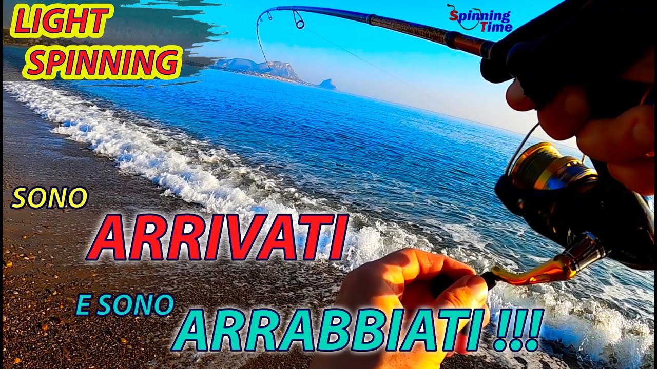 LIGHT SPINNING - SONO ARRIVATI E SONO ARRABBIATI !!!