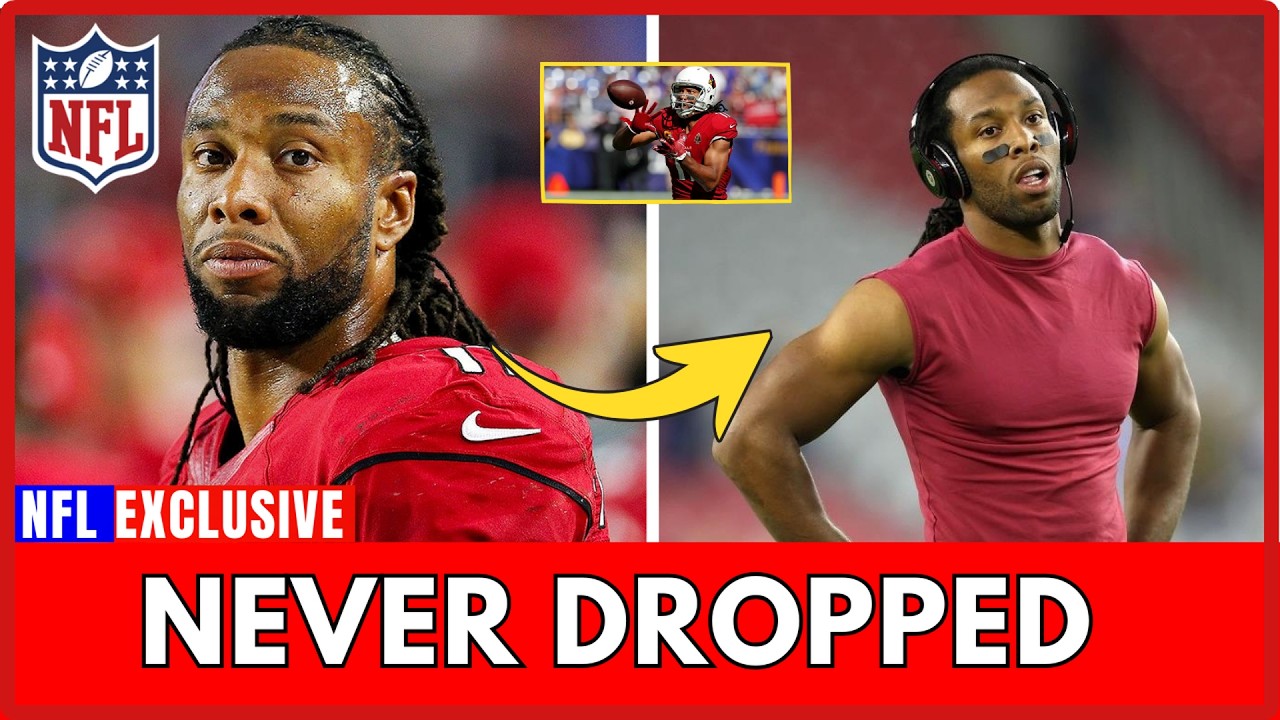 NFL FACTS Larry Fitzgerald The Receiver Who NEVER Dropped a Pass