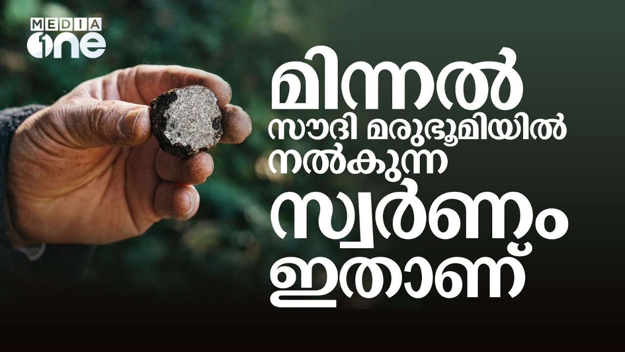 അറബികൾക്ക് സൗദിയിലെ മിന്നലും മരുഭൂമിയും നൽകുന്ന പൊന്നിന്റെ കഥ | Fage desert truffle | Saudi Story