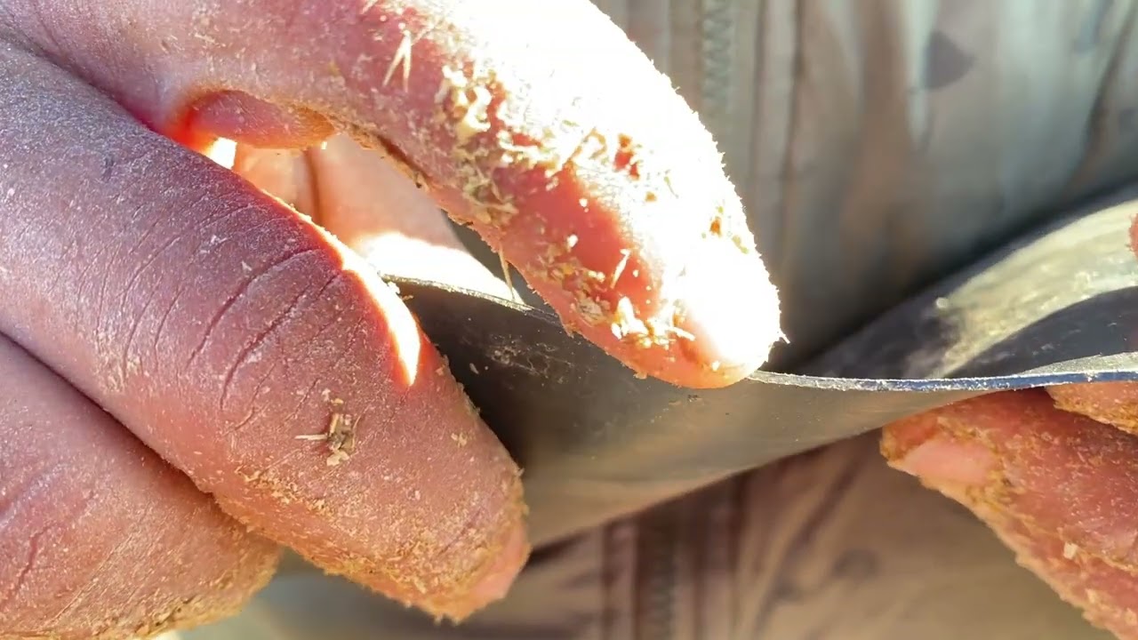 لعلف لي كنعطي النعجة او لخروف صغير