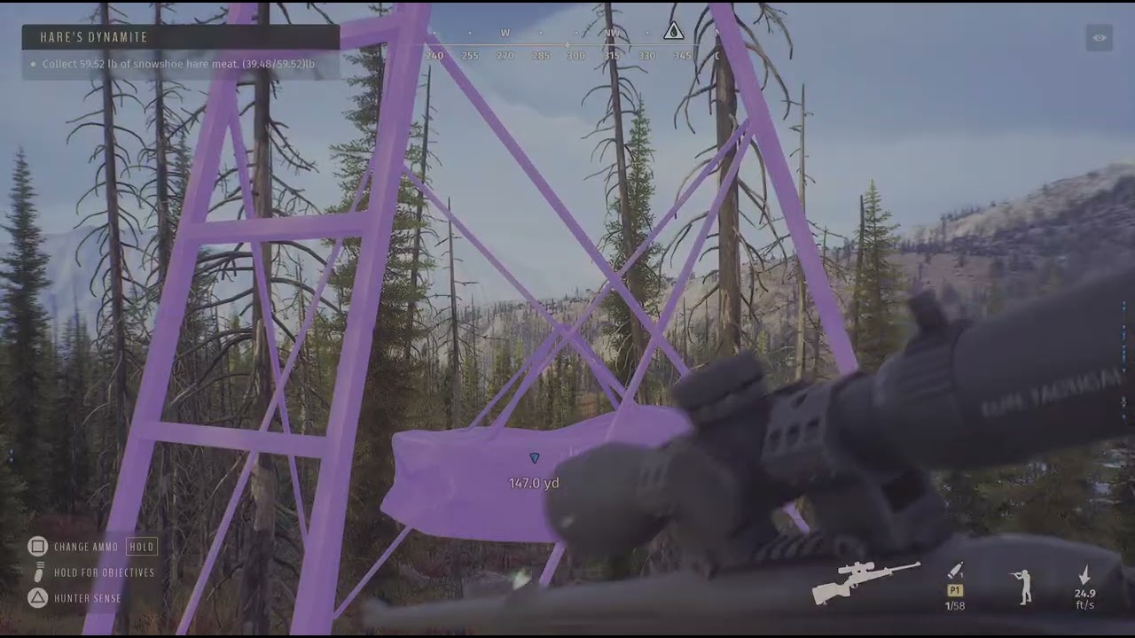 Way of the Hunter 5 Star Rocky Mountain Elk 🫎💖💯 Nez Perce