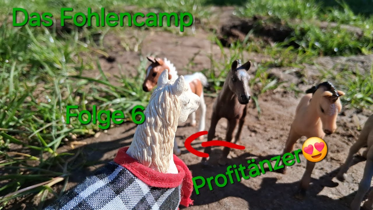 Das Fohlencamp Staffel 3|Folge 6|Ein Profitänzer!+ Bambi verletzt?😣