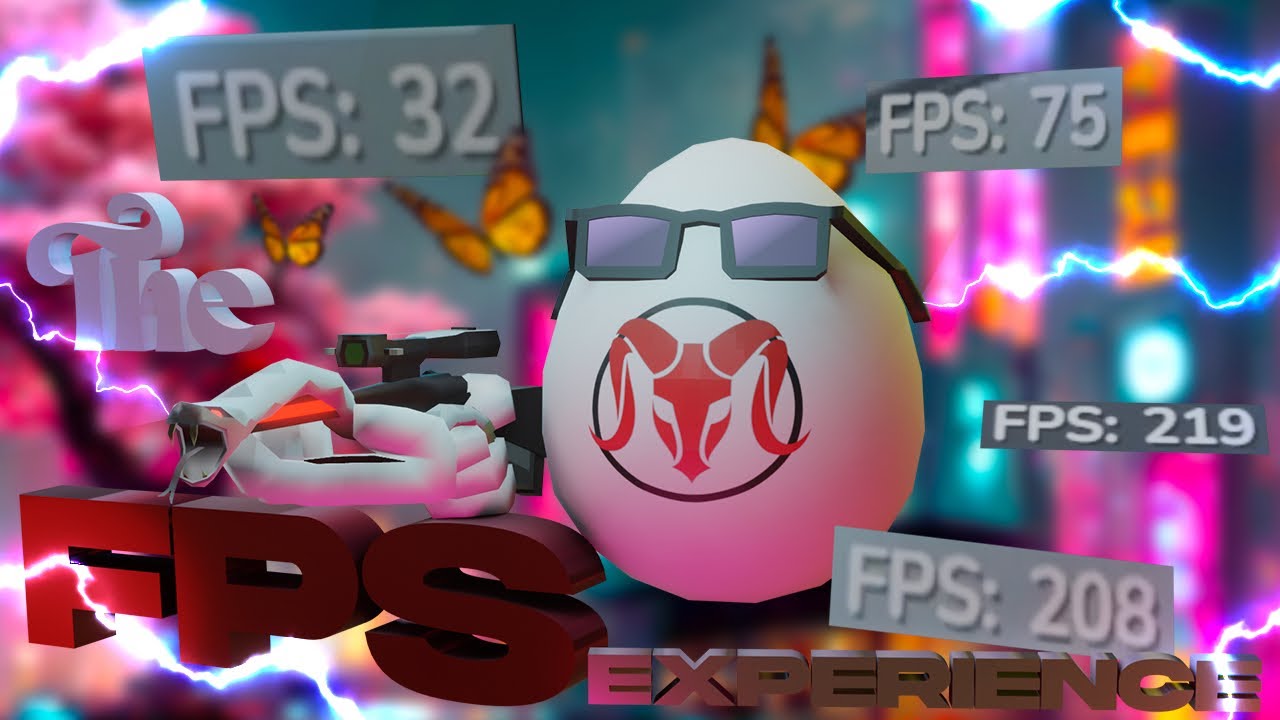 The FPS Experience