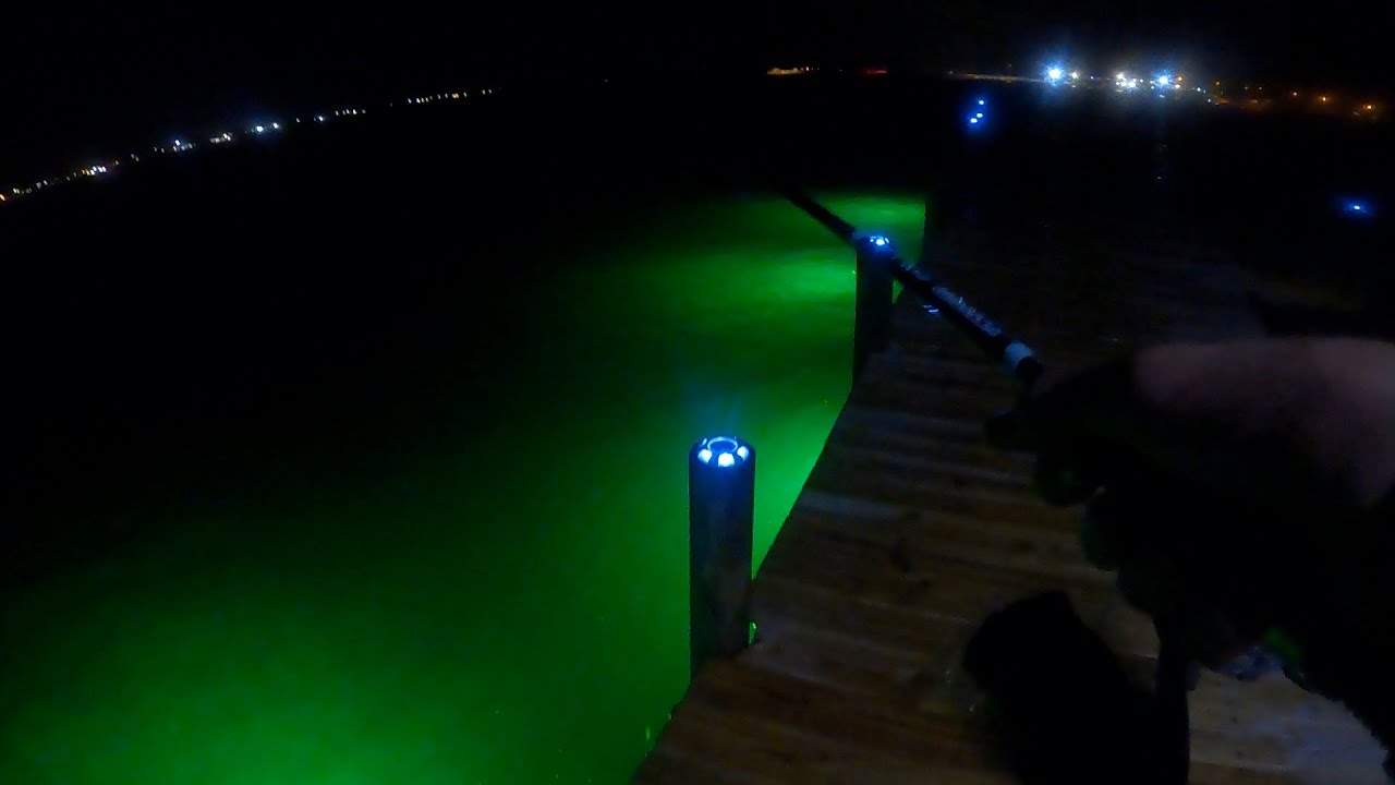 Nighttime Dock Light Fishing