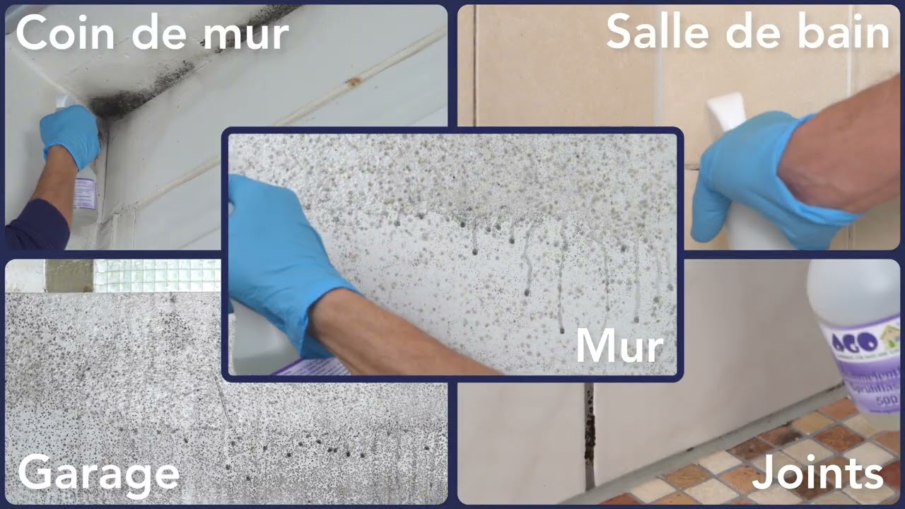 AGO anti-moisissure  Kit 2en 1 .