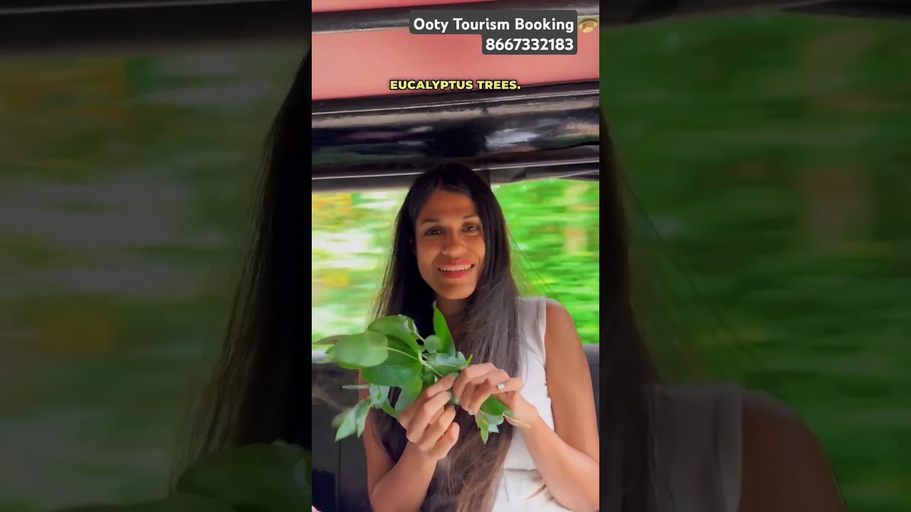 Toda Tribal Village in Ooty: Preserving Culture Amidst the Nilgiri Hills 