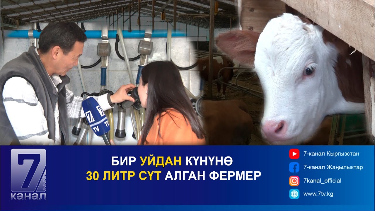 30ГА ЖАКЫН СААН УЙ БАГЫП ЦЕХ АЧКАН ФЕРМЕР