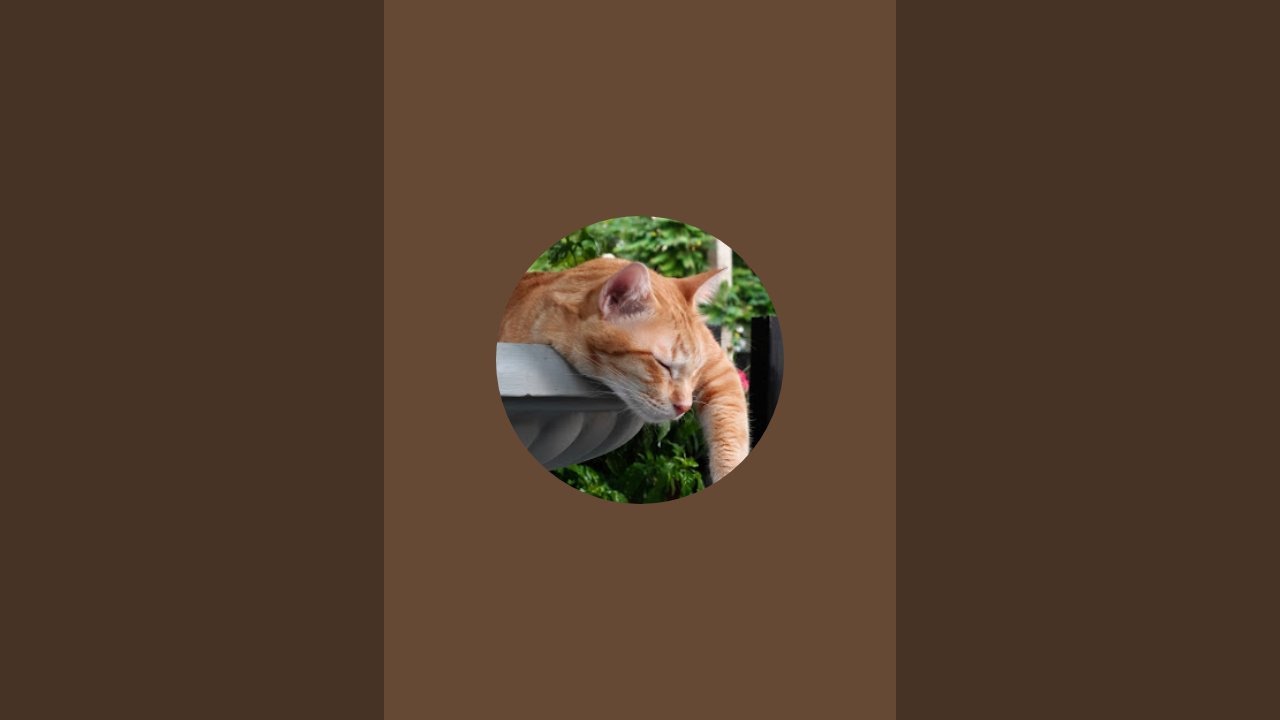 มุมสบายๆ กับ ทิยาสนุกสนานยามเย็นกับแก๊งดาวเรือง