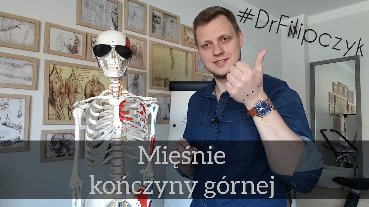 #DrFilipczyk - mięśnie kończyny górnej.