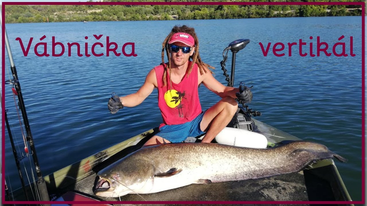 Sumec velký - všechny techniky | Vertikální lov # 5 |Letní vertikální lov sumců s kamarády.