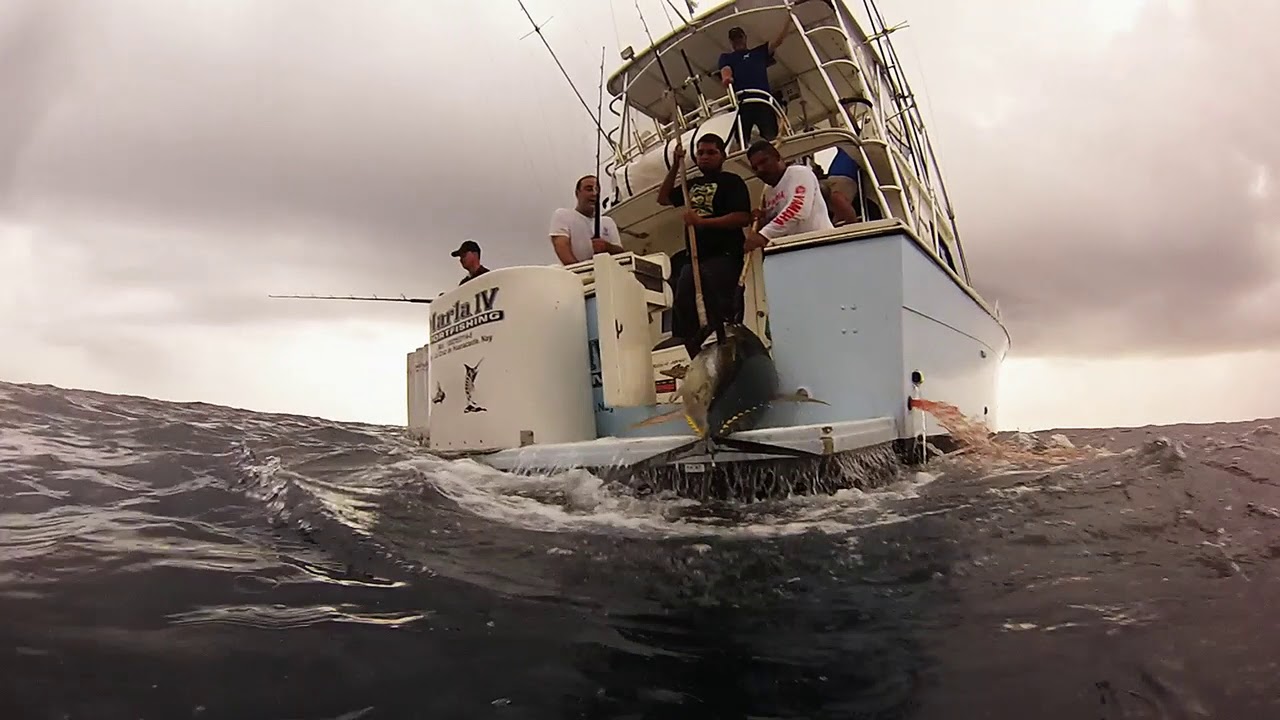 Marlas Sportfishing