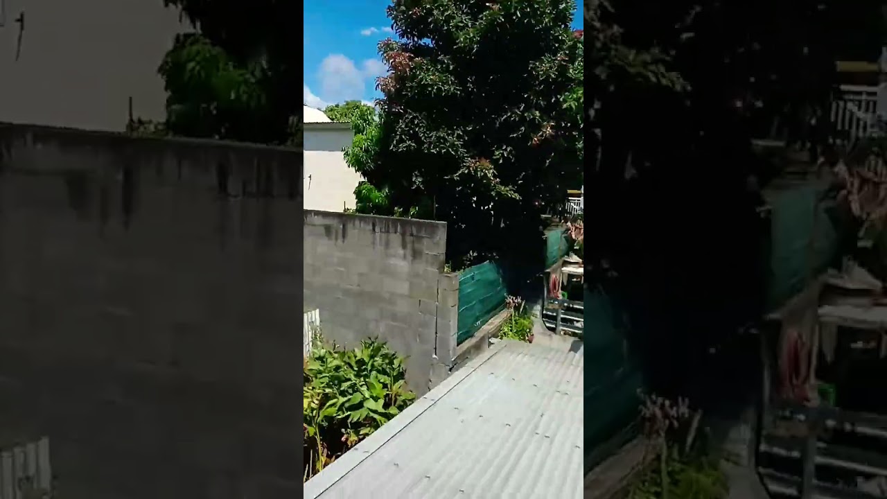 Lis la Réunion