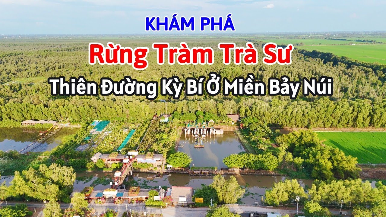Khám Phá: Rừng Tràm Trà Sư, Thiên đường kỳ bí ở miền Bảy Núi An Giang | SaLa TV