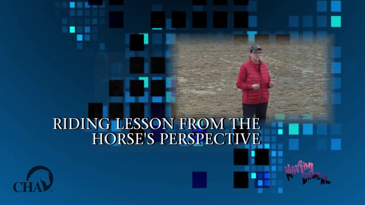 Riding Lesson From a Horse's Perspective Trailer