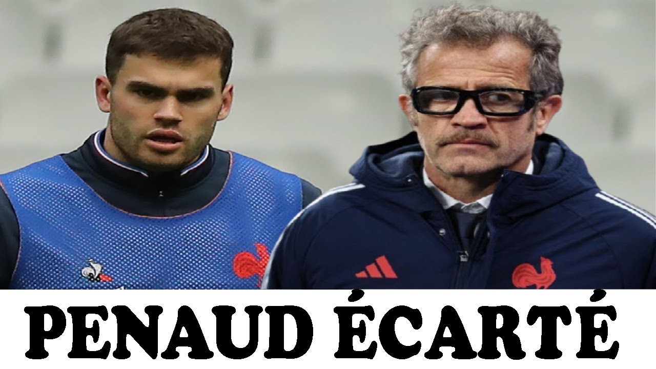 Damian Penaud, la frustration avant l’Irlande