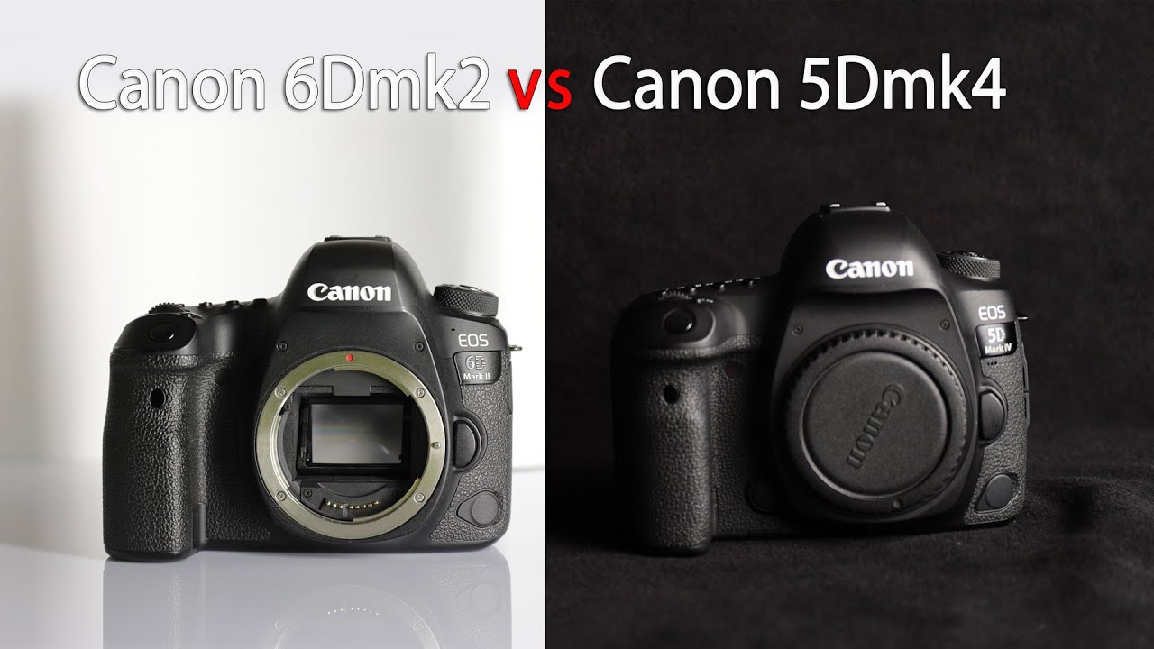 Canon 6Dmk2 vs Canon 5Dmk4