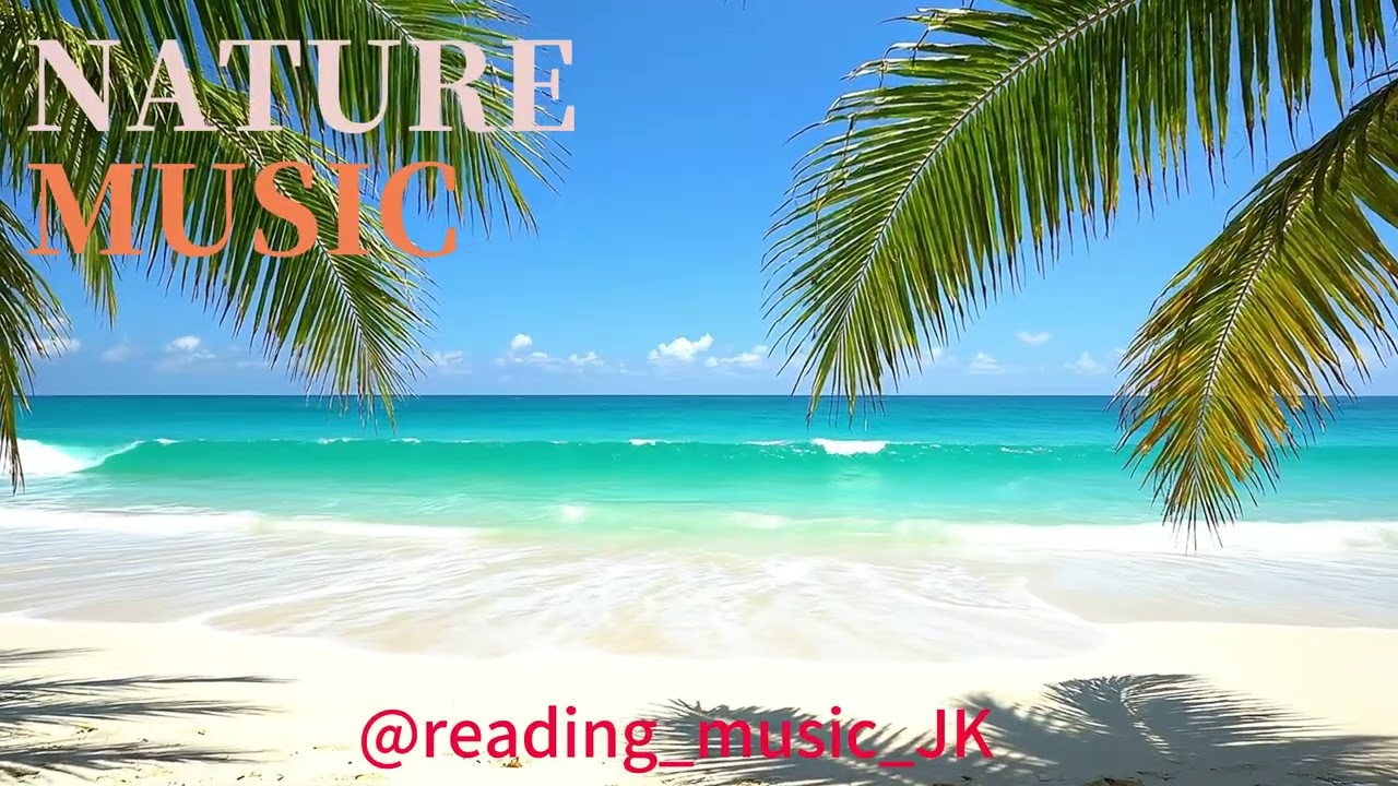🌊 Ocean Waves crashing on Beach | 海浪拍打沙灘白噪音