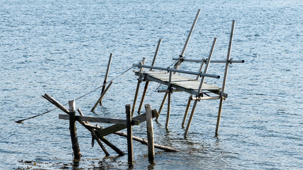 the second-most important thing (Louis Durra)