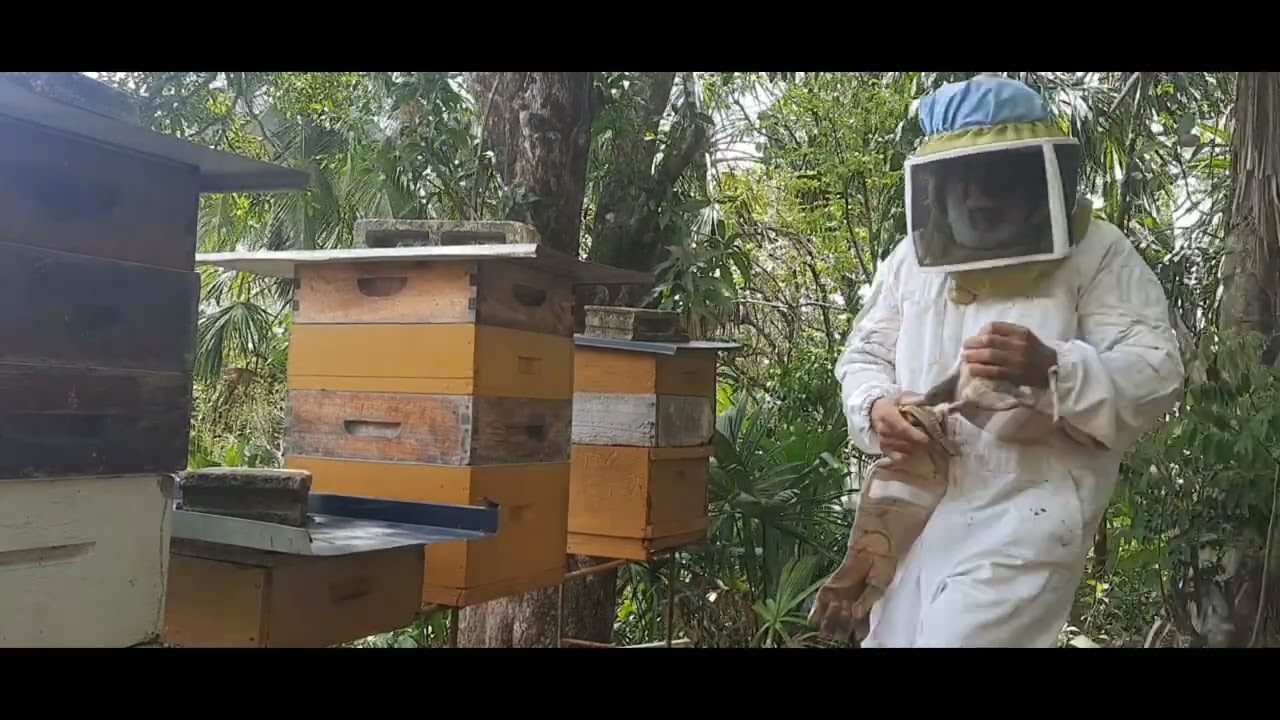 This will reduce swarming or sometimes prevent it all together.