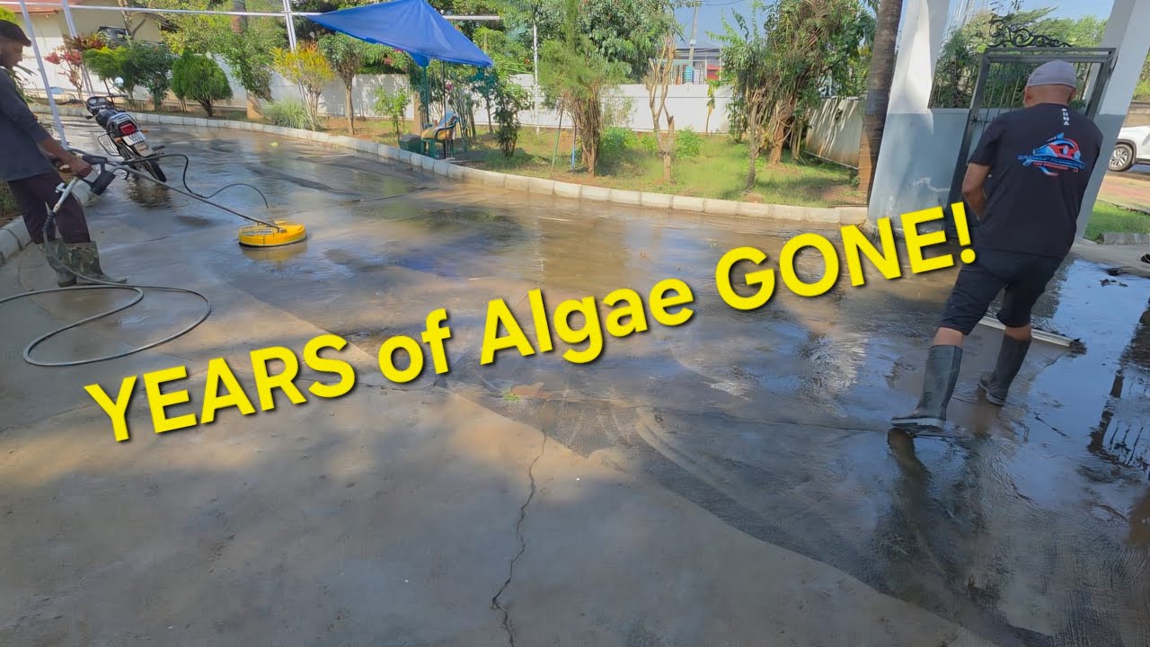 YEARS of algae GONE! South India's Top Pressure Wash (Karnataka)