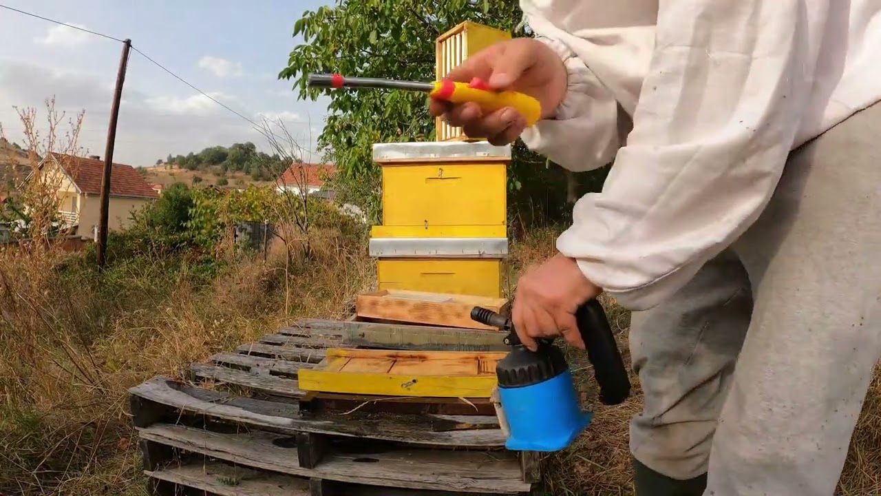 P1 Kontrolli përgatitor për dimërim i nukleusit 2- P1 Winterizing check-up of a nucleus 2 23.09.23